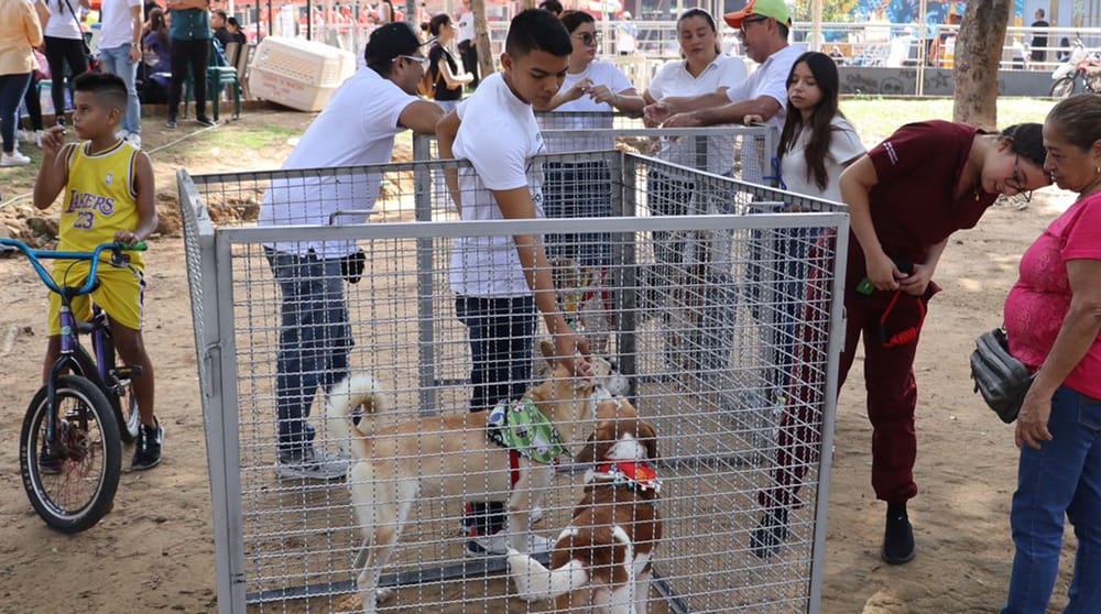 Lista la jornada para adoptar ‘peludos’ con responsabilidad imagen de la publicación