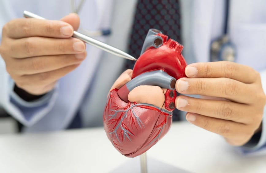 Tecnología está transformando atención de Insuficiencia cardíaca imagen de la publicación