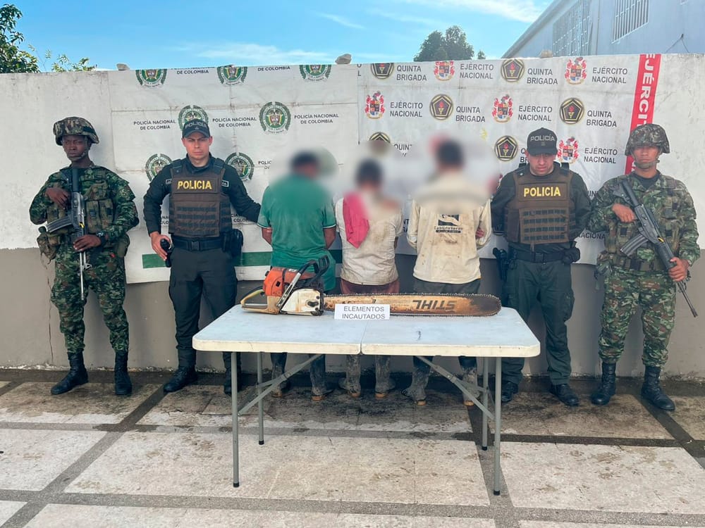 Tres capturados por tala ilegal en zona rural de Sabana de Torres imagen de la publicación