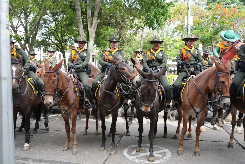 Policía lanza la “Ruta Carabinera” en zonas rurales de Santander imagen de la publicación