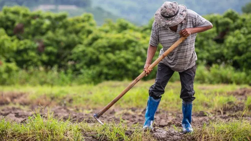 Programa Agro Santander 360 en San Gil imagen de la publicación