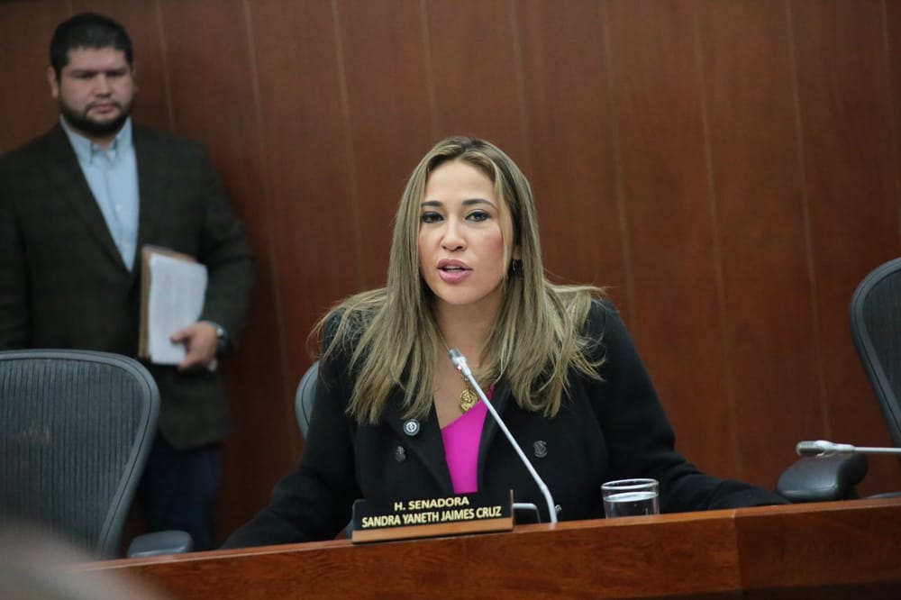 Senadora santandereano logró apoyo para alivios a deudores de tránsito imagen de la publicación