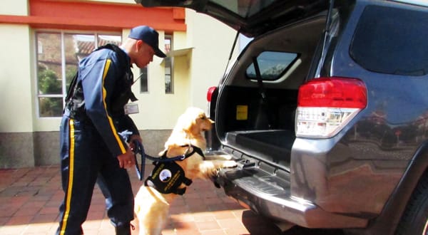Seguridad en manos de empresas cuestionadas: suspenden 31 licencias por graves irregularidades: una opera en Santander imagen de la publicación
