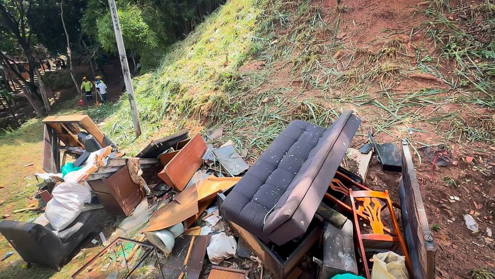 Comunidad se unió para erradicar botadero de basuras en Floridablanca imagen de la publicación