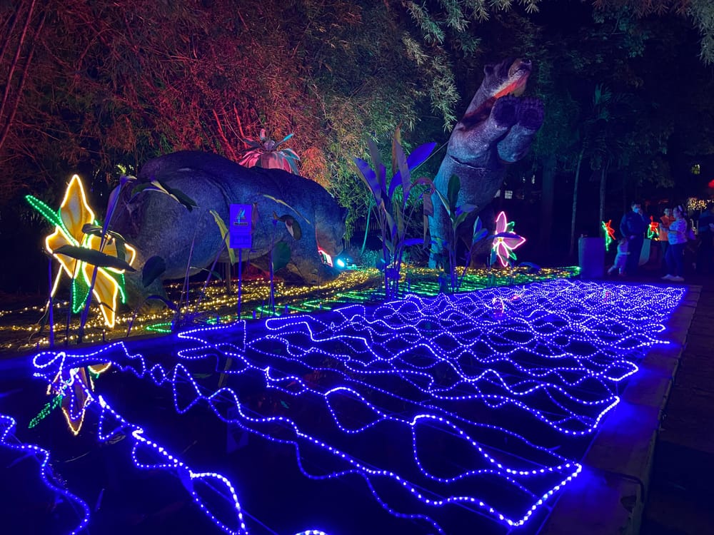 ESSA abrió la convocatoria para el concurso de municipios “Encendamos la alegría de la Navidad 2026” imagen de la publicación