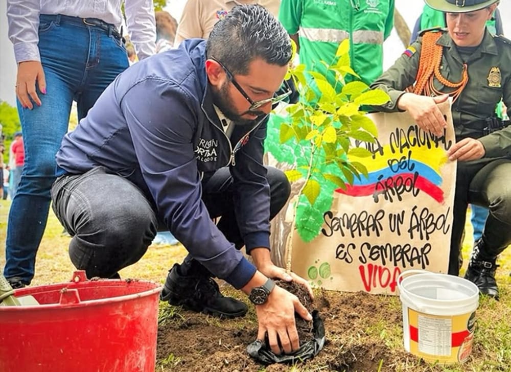 Parque de la Vida respira con nueva arborización en Bucaramanga imagen de la publicación