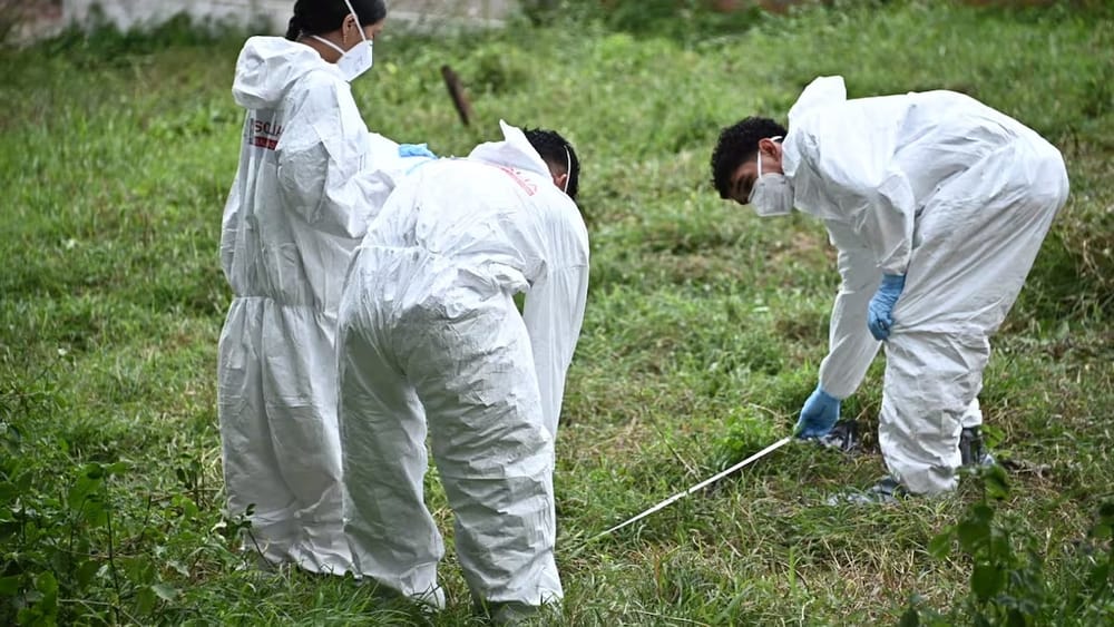 Hombre fue encontrado con dos disparos en la cabeza en zona rural de Santander imagen de la publicación