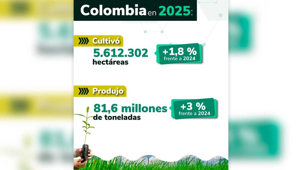 Colombia incrementó el total de su producción agrícola durante 2025 imagen de la publicación