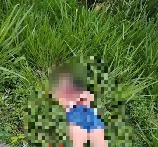 Investigan la aparición del cadáver de una mujer en la vía a Bucaramanga – San Alberto imagen de la publicación