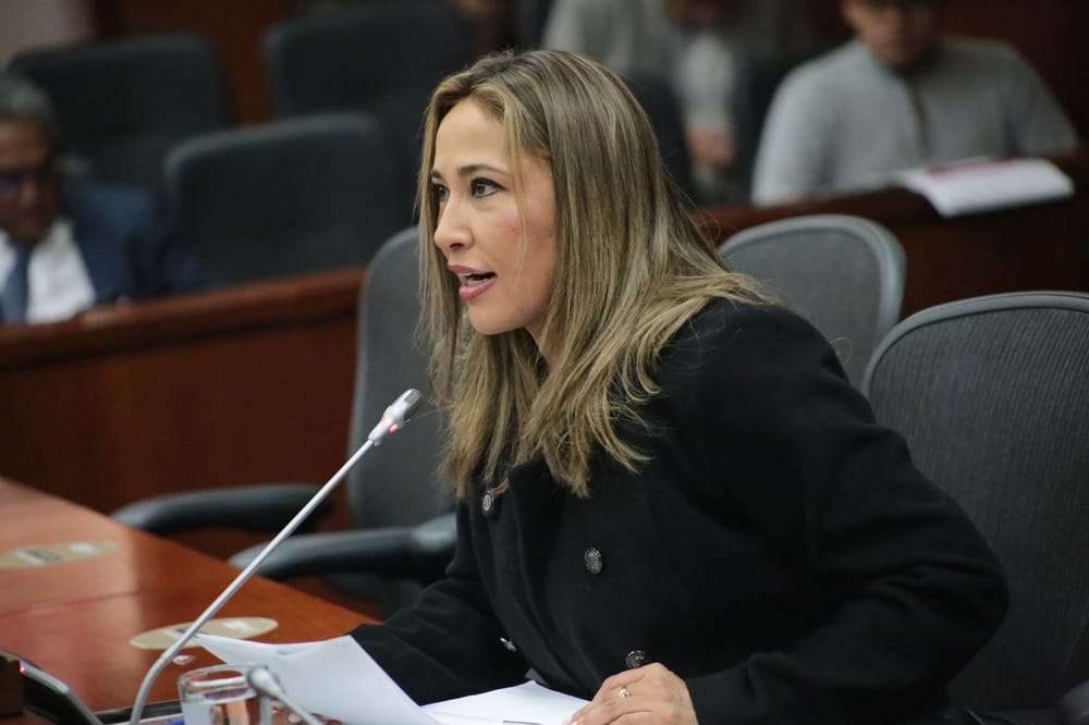 Senadora santandereana, clave en proyecto que aliviará multas y embargos a conductores en Colombia imagen de la publicación