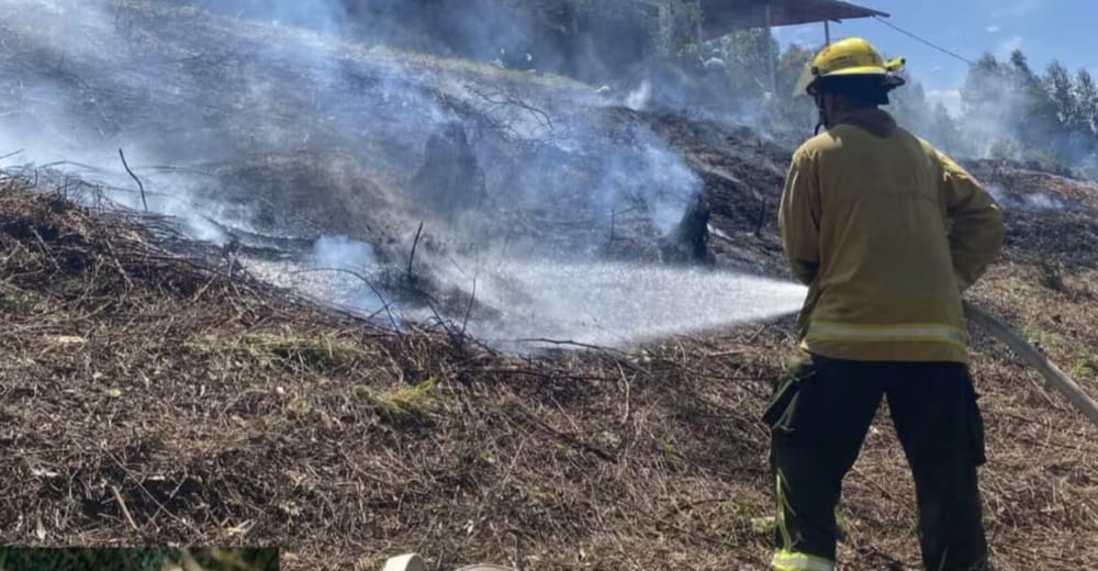 Peligro de incendios forestales por altas temperaturas en Santander imagen de la publicación