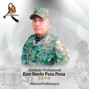 Francotiradores del ELN siguen asesinando Arauca imagen de la publicación