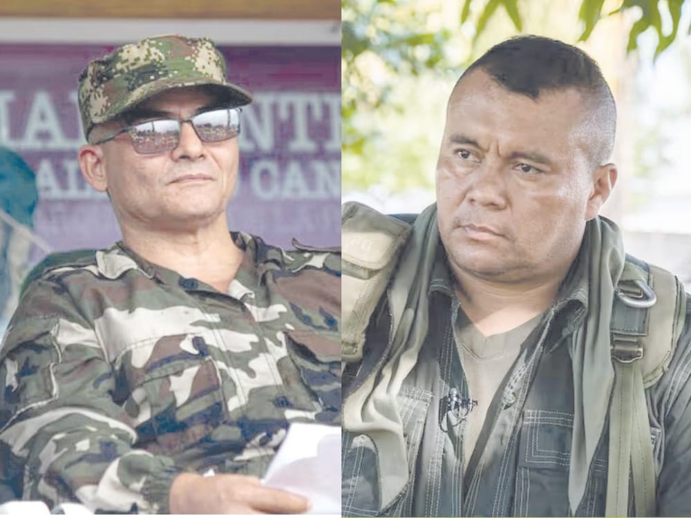 Combates entre ‘Mordisco’ y ‘Calarcá’ habrían dejado 50 muertos en Guaviare imagen de la publicación