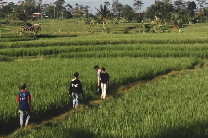 Capturados dos hombres por presunto despojo de tierras a campesinos en Santander imagen de la publicación