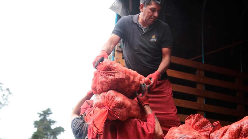 El agro colombiano alcanzó 4,9 millones de empleos en abril, el más alto en 9 años imagen de la publicación