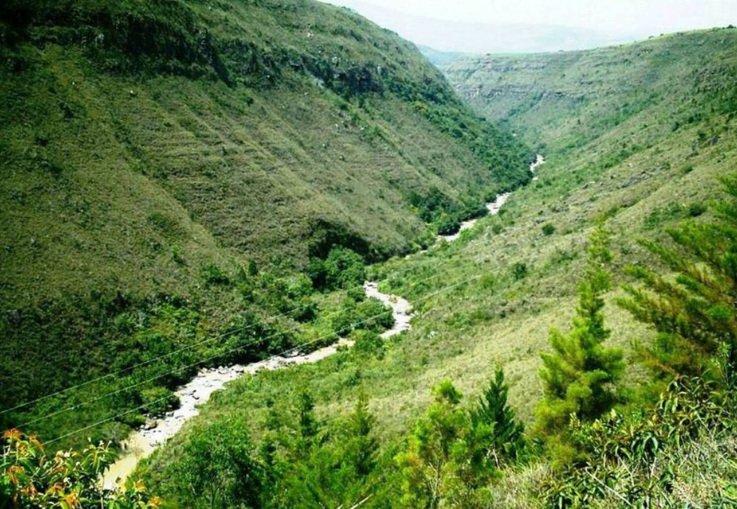 Procuraduría sanciona a exalcalde de Mogotes y a seis concejales por irregular declaratoria de protección del Río Mogoticos imagen de la publicación