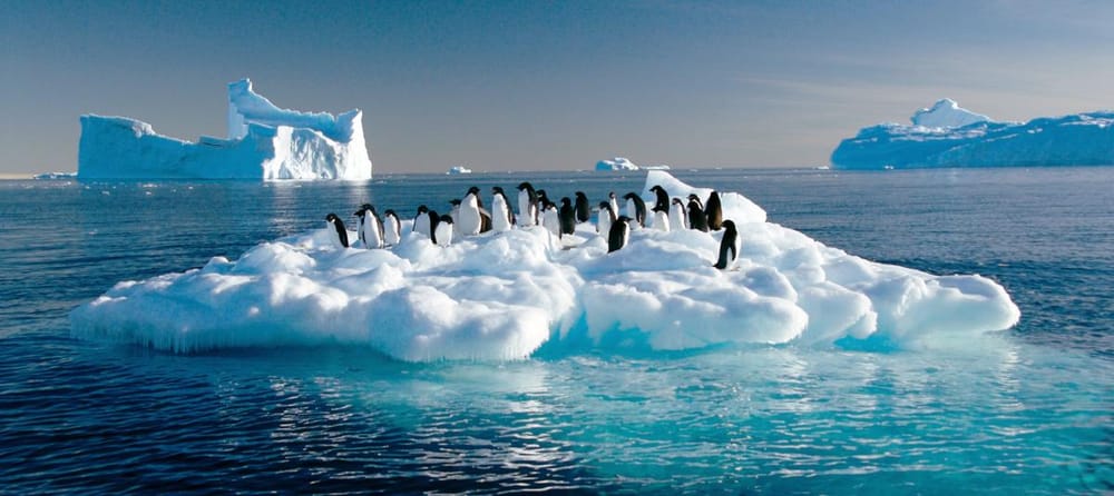 Ártico registra olas de calor marinas sin precedentes de hasta 480 días imagen de la publicación