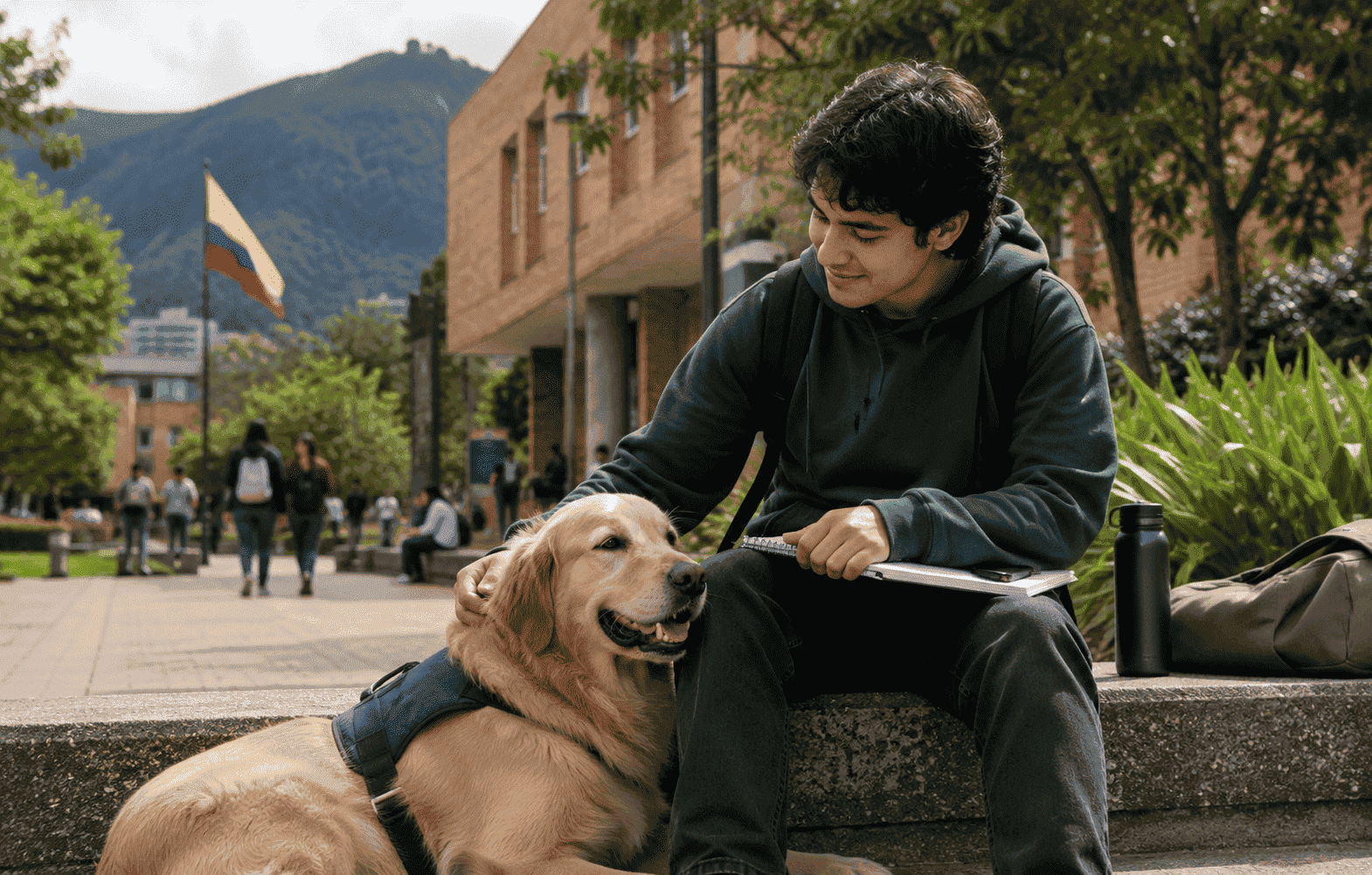 Piden a MinEducación fijar reglas para animales de apoyo emocional en universidades imagen de la publicación