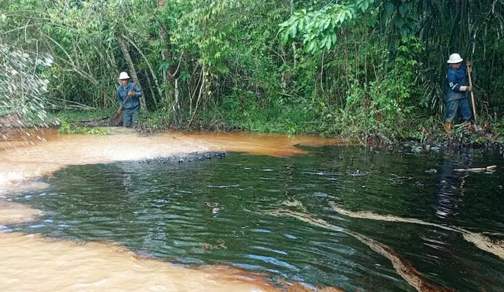 Ecopetrol señala que hidrocarburos en un caño son de emanaciòn natural imagen de la publicación