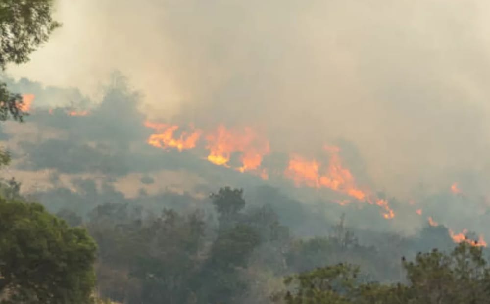 Trece municipio en alerta preventiva por fenómeno  de El Niño en Santander imagen de la publicación