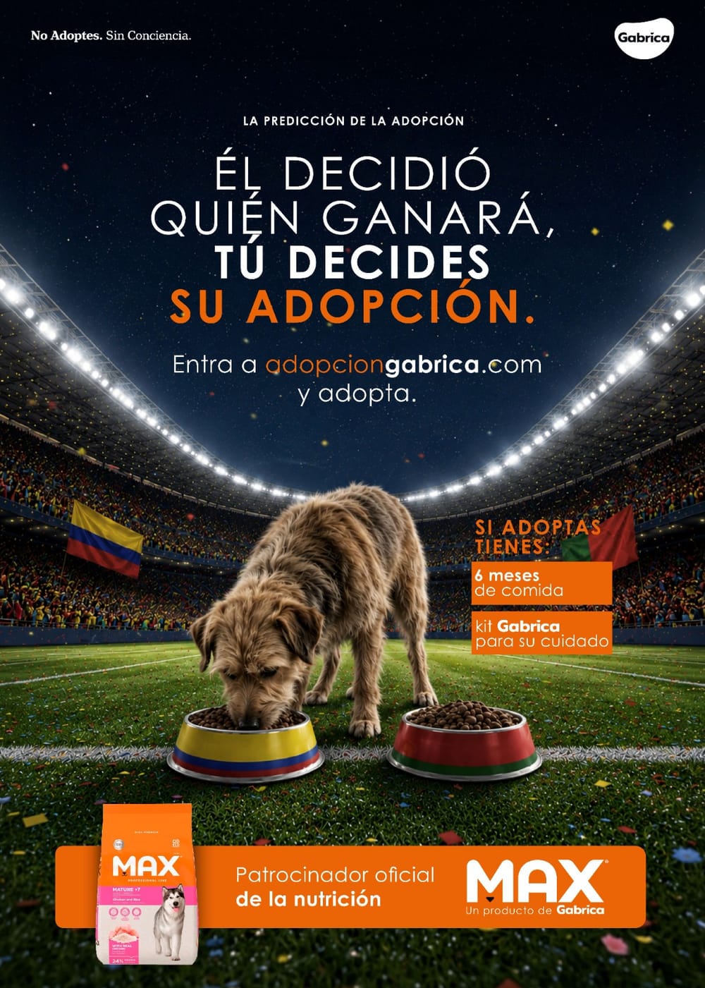 Más de 400 perros buscan hogar durante el Mundial en una campaña que une fútbol y adopción responsable imagen de la publicación
