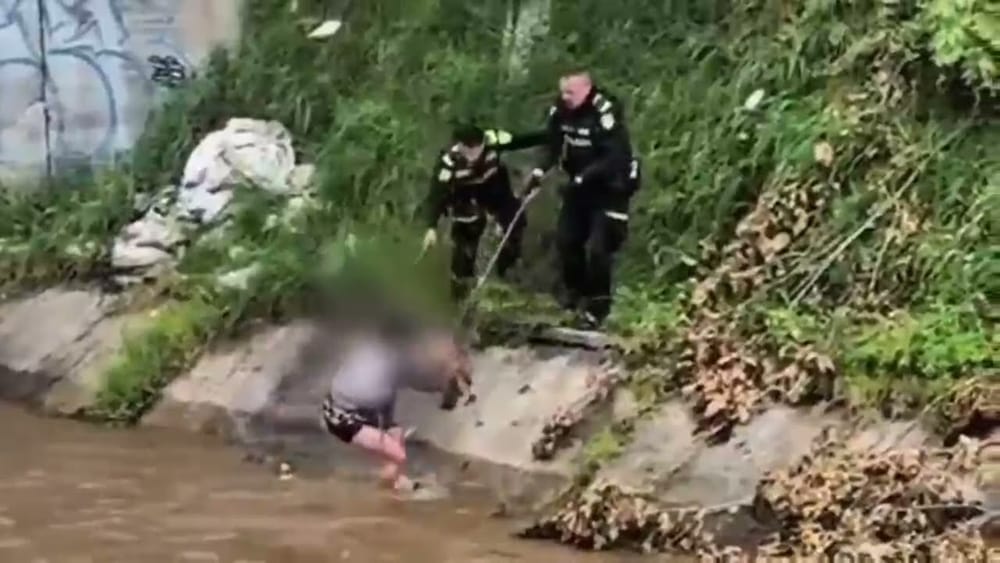 Conductor ebrio huyó de la Policía, cayó a un pantano y fue atacado por un caimán imagen de la publicación