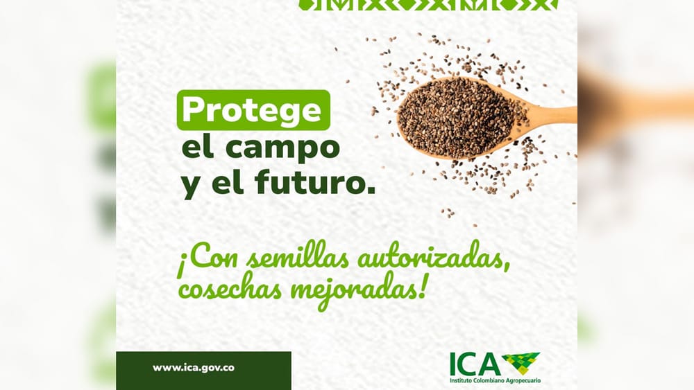 Por fenómeno de El Niño y la utilización de semillas no autorizadas pueden incrementar el riesgo en el fracaso de los cultivos imagen de la publicación