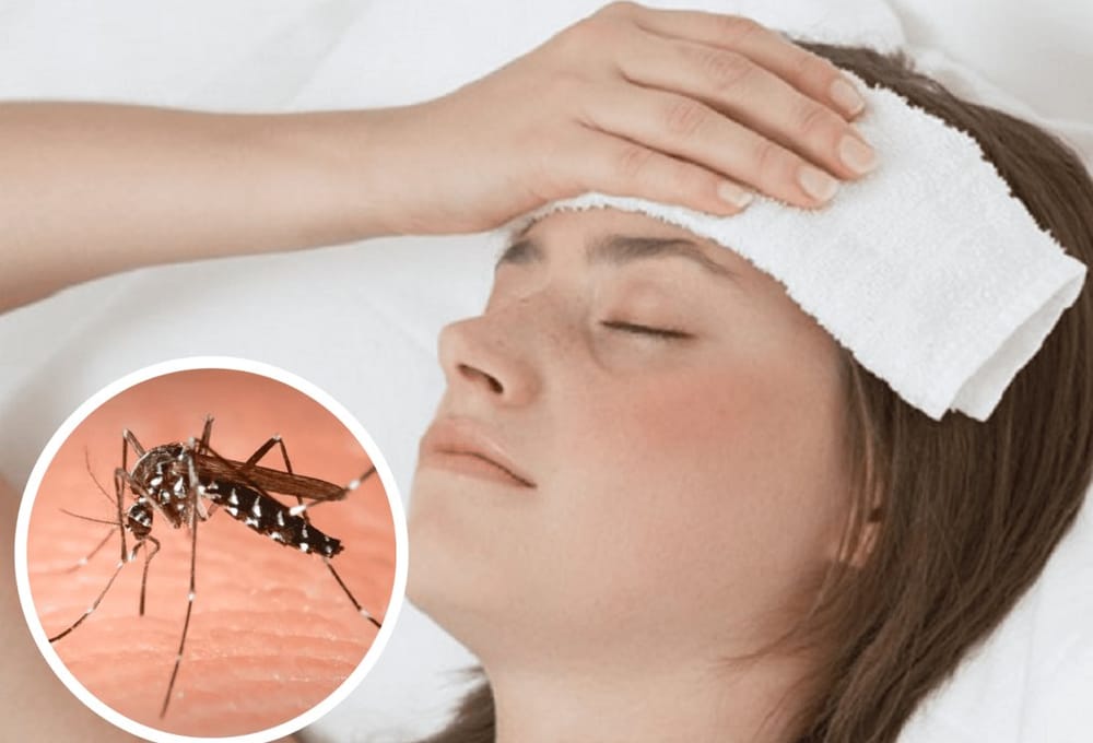 Secretaría de Salud lanza urgente advertencia por propagación del dengue imagen de la publicación