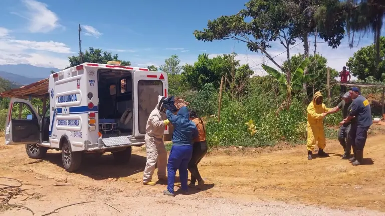 Padre e hija sobrevivieron a feroz ataque de abejas mientras caminaban por una vía rural de Barichara imagen de la publicación