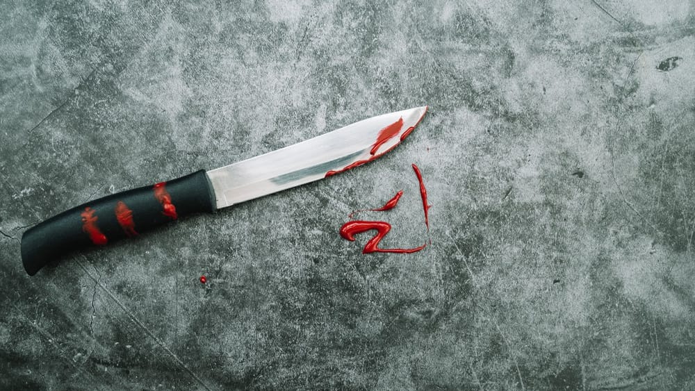 Mujer murió tras riña a cuchillo con su vecina en el norte de Bucaramanga imagen de la publicación