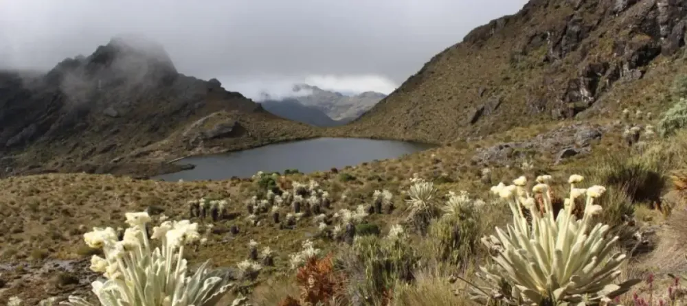 Ministerio de Ambiente deja en firme áreas de reserva en Santurbán y refuerza protección del ecosistema hasta 2029 imagen de la publicación