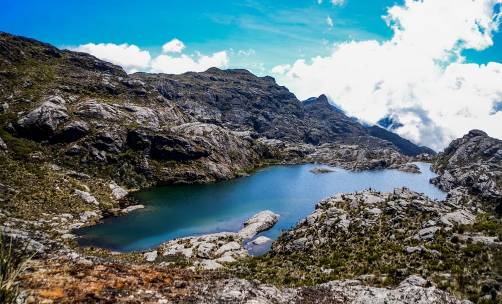 Páramo de Santurbán pronto  tendrá más demandas que agua imagen de la publicación
