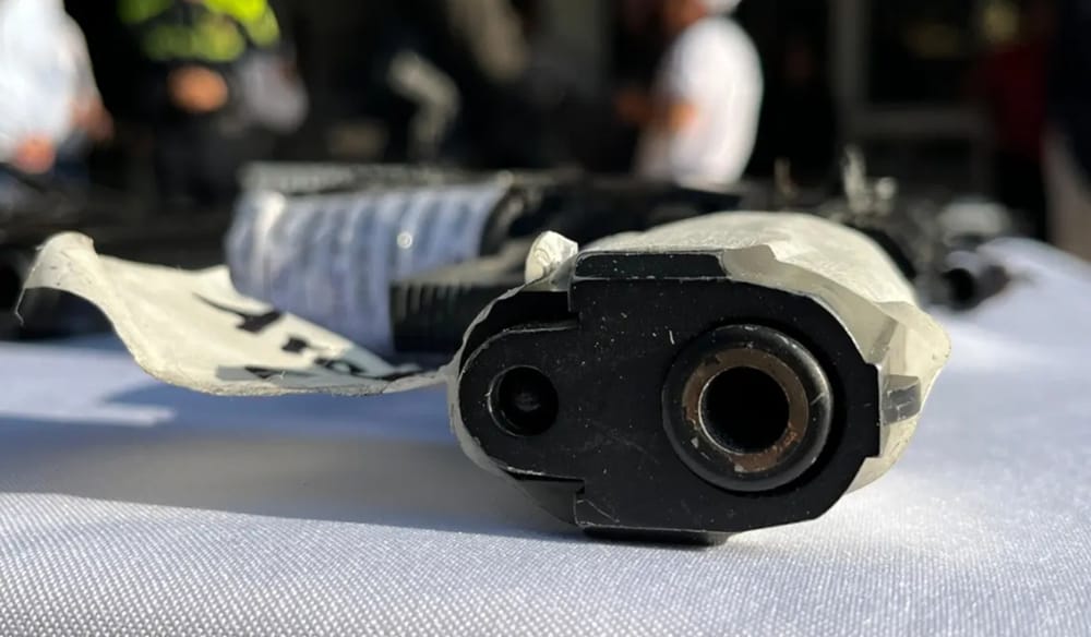 Suspenden porte de armas  de  todo tipo territorio jurisdicción de la Quinta Brigada delEjército imagen de la publicación