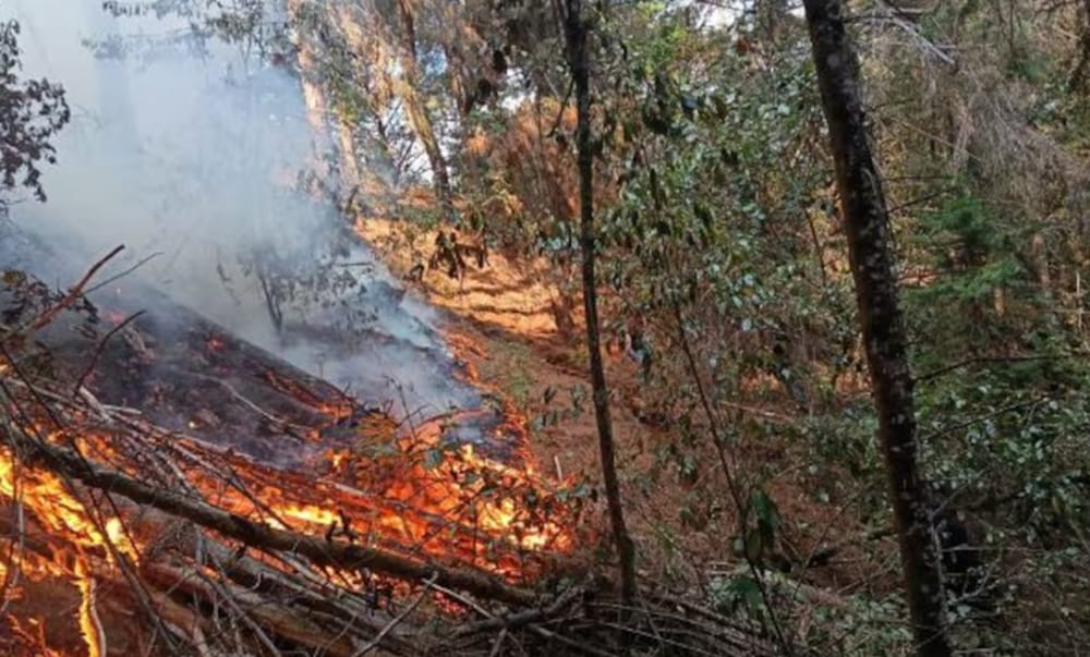 Dominado y extinguido incendio forestal en Charta, Santander imagen de la publicación