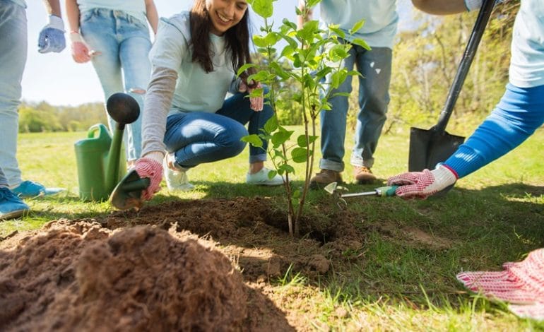 Barrancabermeja impulsa reforestación para mitigar los efectos del fenómeno de El Niño imagen de la publicación