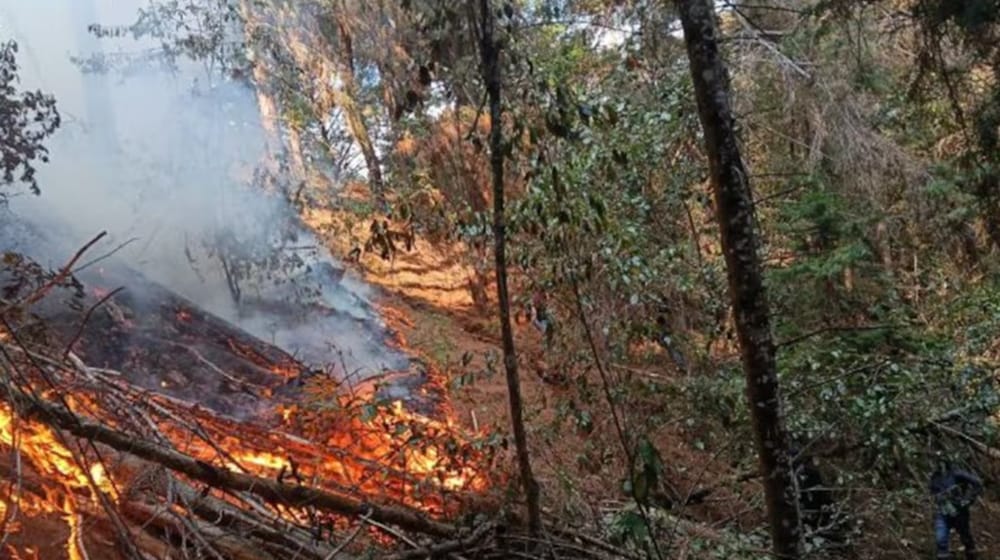 Redoblado el trabajo de los Bomberos en Bucaramanga por incendios forestales imagen de la publicación