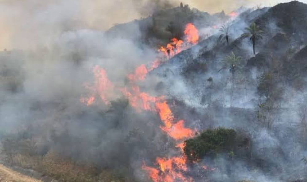 Bomberos de Bucaramanga reporta varios incendios forestales atendidos por día imagen de la publicación