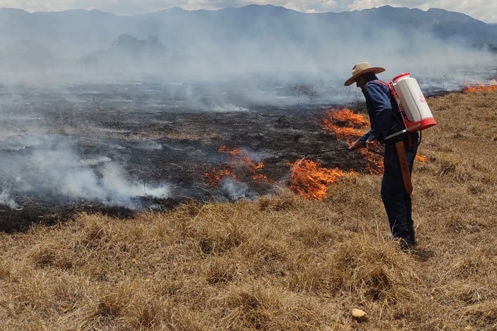 Bucaramanga está lista para enfrentar efectos del  fenómeno de El Niño imagen de la publicación