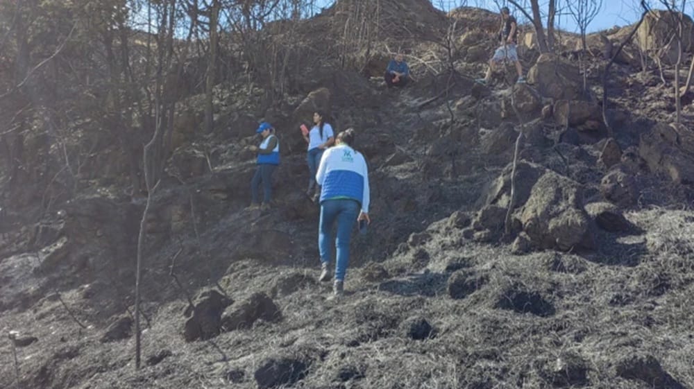 Condiciones secas asociadas al fenómeno de El Niño tienen en apuros a Santander imagen de la publicación