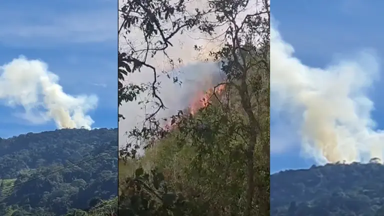Incendio forestal lleva cinco días fuera de control en Matanza: fuego ya consumió 15 hectáreas imagen de la publicación