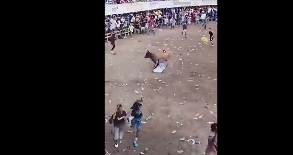 VIDEO | Intentó atacar a un toro y terminó gravemente herido en una corraleja imagen de la publicación