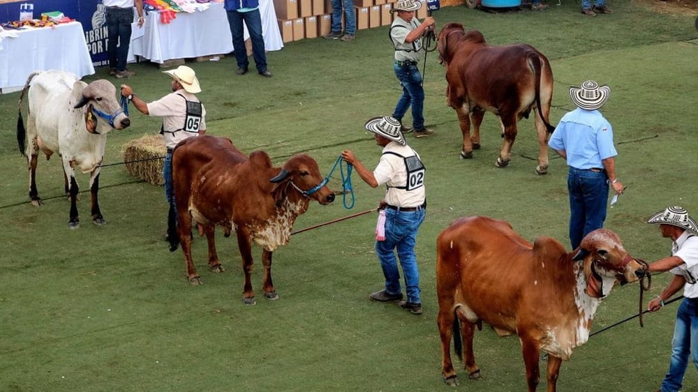 Feria ganadera con diez días de programación durante su versión 76 en CENFER imagen de la publicación