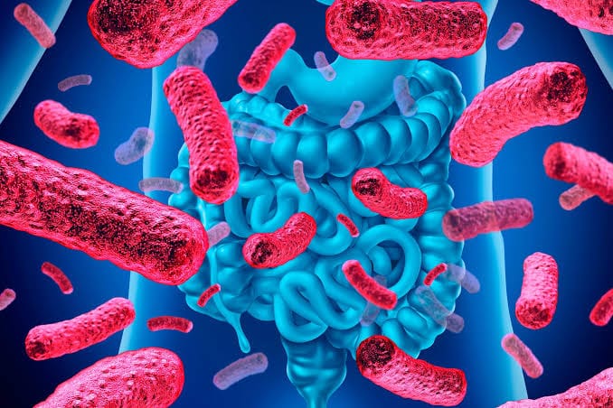 ¿Se siente inflamado sin razón? La disbiosis intestinal podría estar detrás de algunas molestias digestivas imagen de la publicación