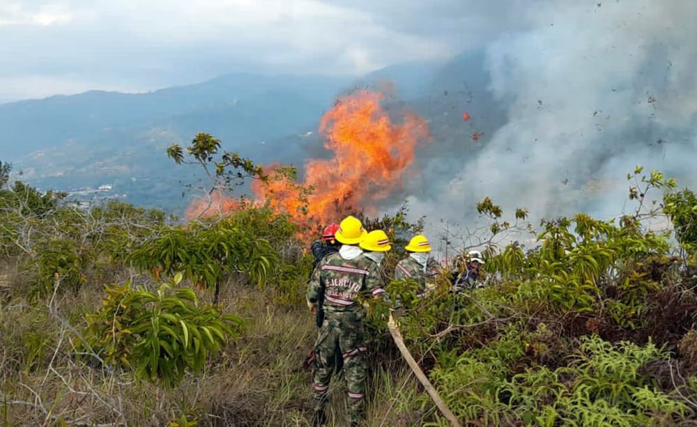 Santander en alerta: Bomberos activa plan de choque ante el aumento de incendios forestales imagen de la publicación