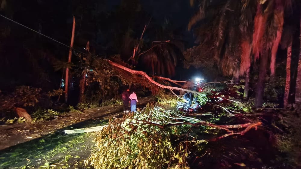 Energía eléctrica retorna por fases en zonas dañadas por tormenta del jueves imagen de la publicación