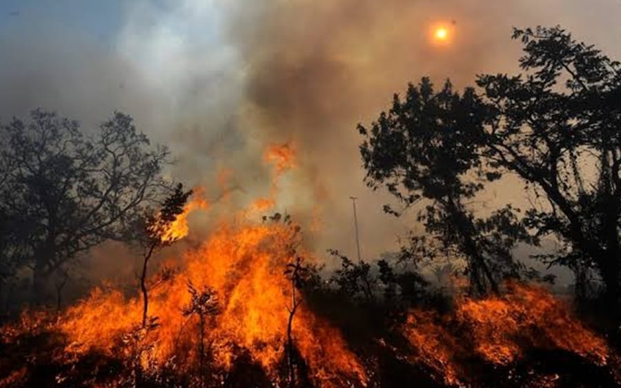 Incendios forestales en Santurbán se reavivaron y causan preocupación imagen de la publicación