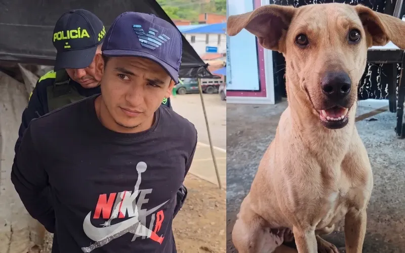 Indignación: Asesino de Kira no estará tras las rejas ¿qué opina? imagen de la publicación