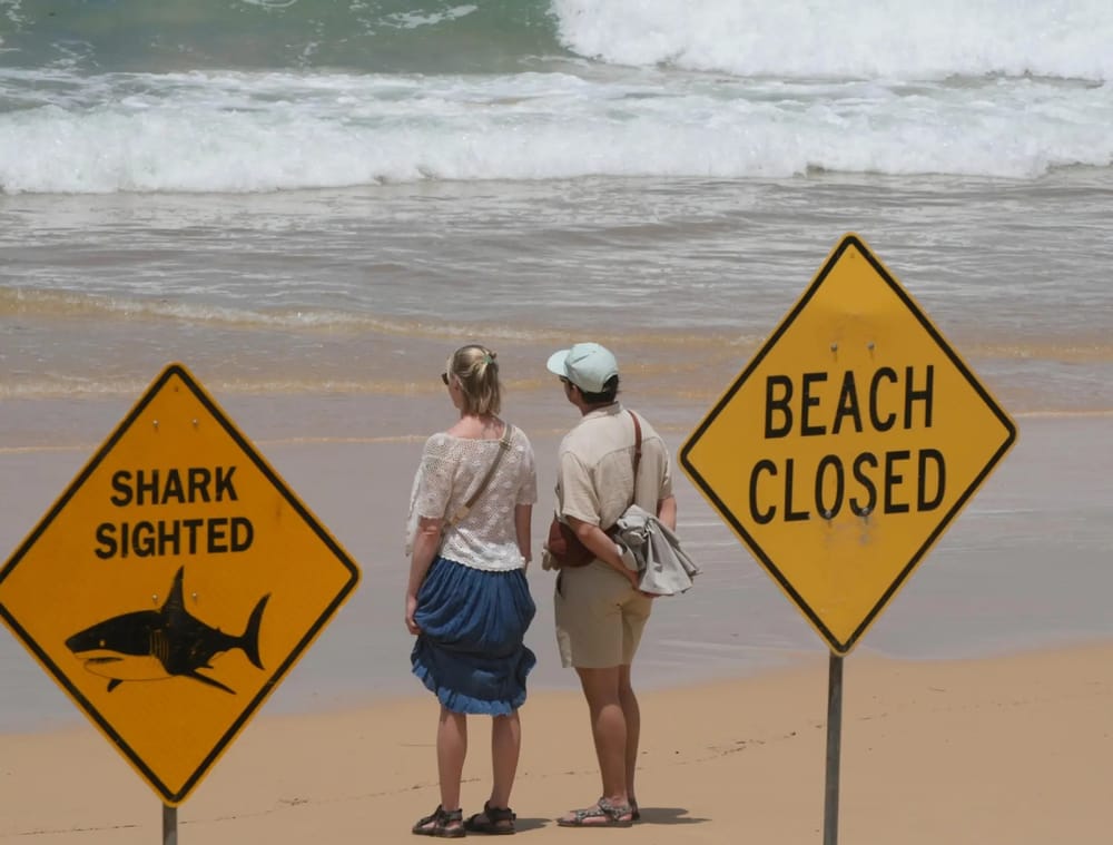 Tiburón ataca e hiere de gravedad a un hombre en playa de Australia imagen de la publicación