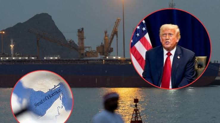 El tráfico por el estrecho de Ormuz cayó a la mitad en medio de la tensión entre Estados Unidos e Irán imagen de la publicación