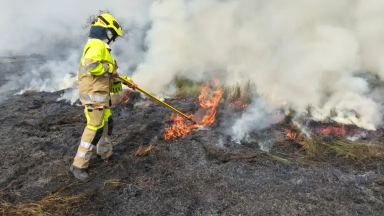 Consumidas por incendio forestal 10 hectáreas de vegetación en Puerto Parra, Santander imagen de la publicación